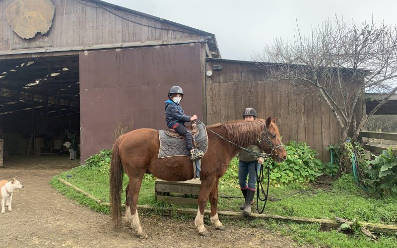 Horseback Riding at Ricochet&nbsp;Ranch